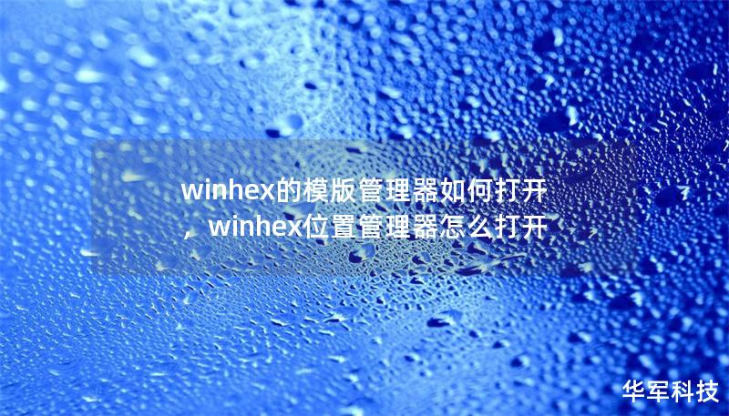 winhex的模版管理器如何打開，winhex位置管理器怎么打開