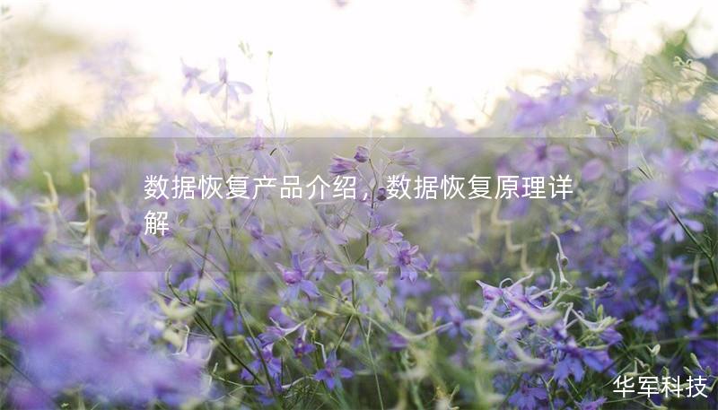 數據恢復產品介紹，數據恢復原理詳解