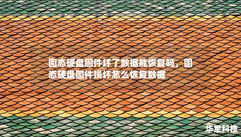 固態(tài)硬盤固件壞了數(shù)據(jù)能恢復(fù)嗎，固態(tài)硬盤固件損壞怎么恢復(fù)數(shù)據(jù)