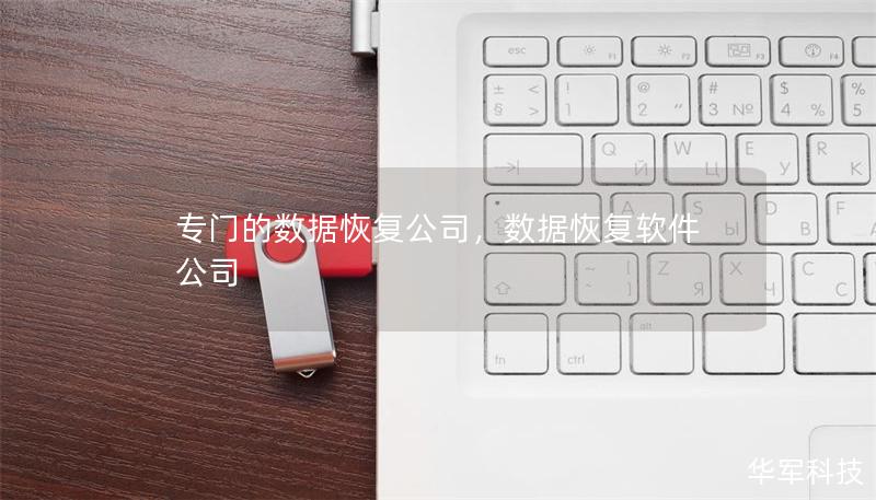 專門的數(shù)據(jù)恢復公司，數(shù)據(jù)恢復軟件公司