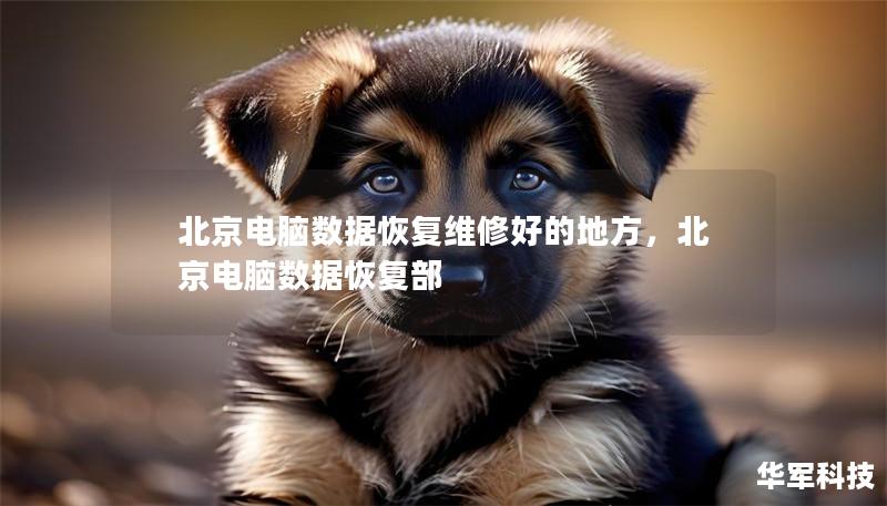 北京電腦數(shù)據(jù)恢復維修好的地方，北京電腦數(shù)據(jù)恢復部