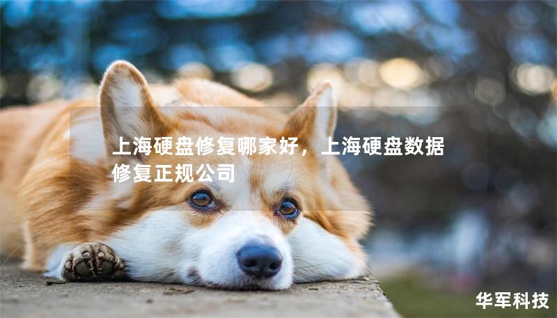 上海硬盤修復哪家好，上海硬盤數(shù)據(jù)修復正規(guī)公司