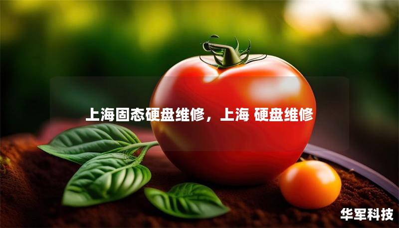 上海固態(tài)硬盤維修，上海 硬盤維修