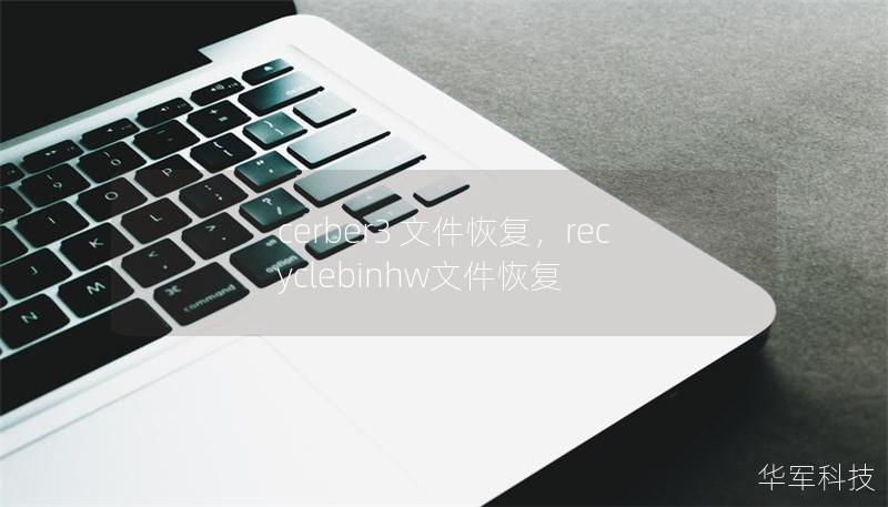 cerber3 文件恢復(fù)，recyclebinhw文件恢復(fù)