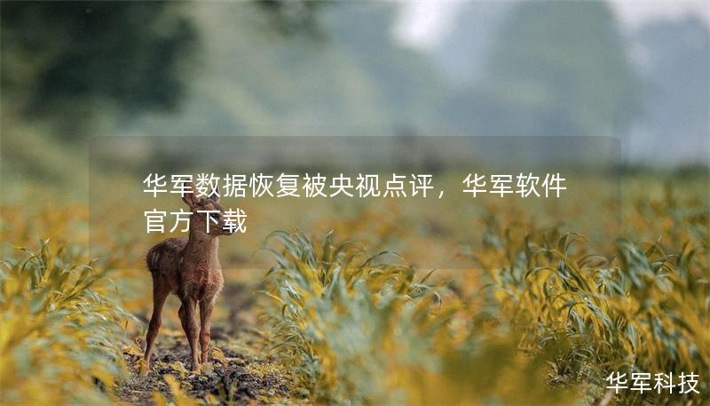 華軍數(shù)據(jù)恢復(fù)被央視點評，華軍軟件官方下載