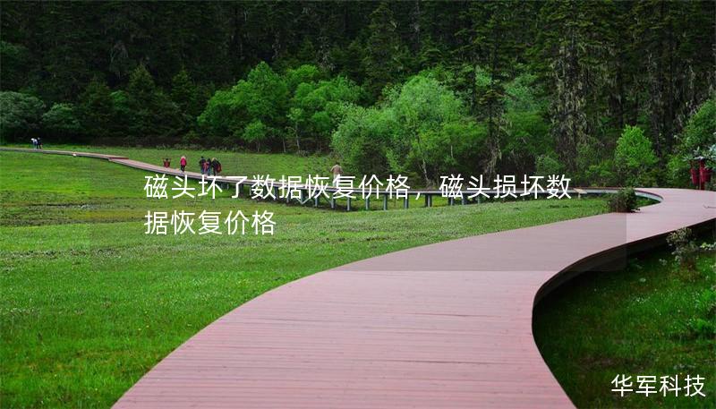 磁頭壞了數(shù)據(jù)恢復(fù)價(jià)格，磁頭損壞數(shù)據(jù)恢復(fù)價(jià)格