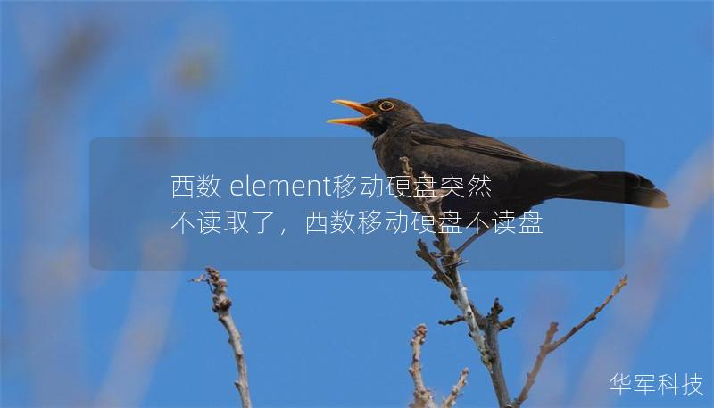 西數(shù) element移動(dòng)硬盤突然不讀取了，西數(shù)移動(dòng)硬盤不讀盤