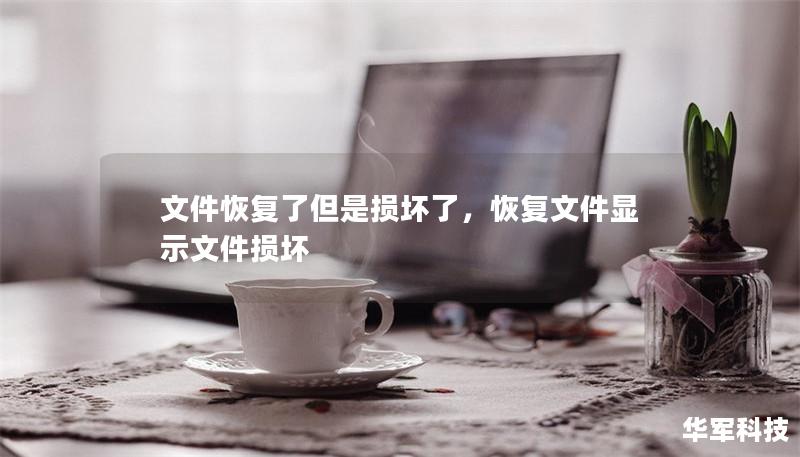 文件恢復(fù)了但是損壞了，恢復(fù)文件顯示文件損壞