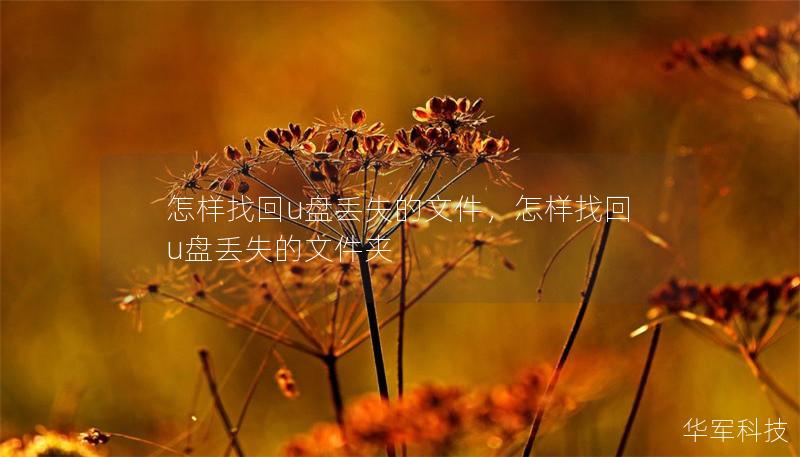 怎樣找回u盤(pán)丟失的文件，怎樣找回u盤(pán)丟失的文件夾