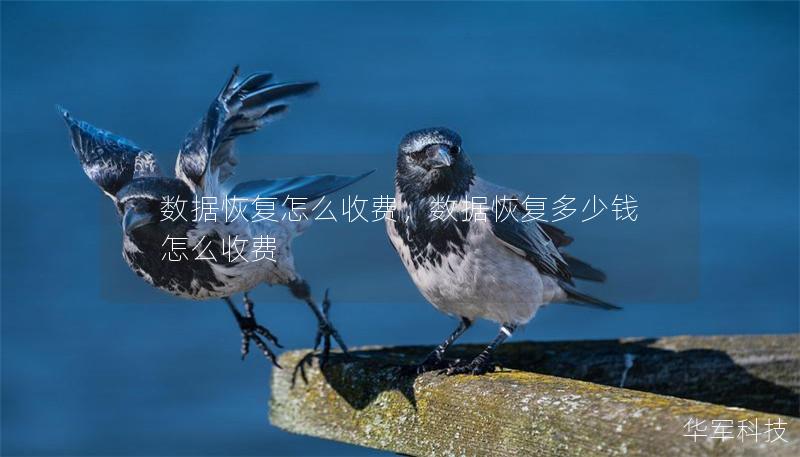 數(shù)據(jù)恢復(fù)怎么收費(fèi)，數(shù)據(jù)恢復(fù)多少錢怎么收費(fèi)