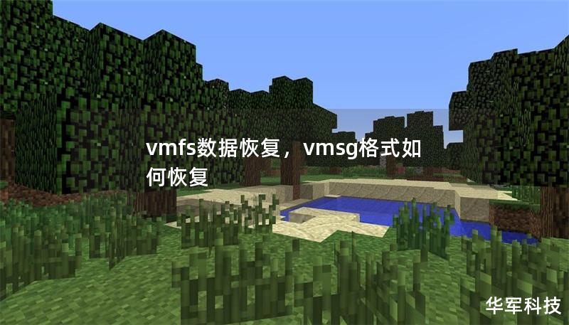 vmfs數(shù)據(jù)恢復(fù)，vmsg格式如何恢復(fù)