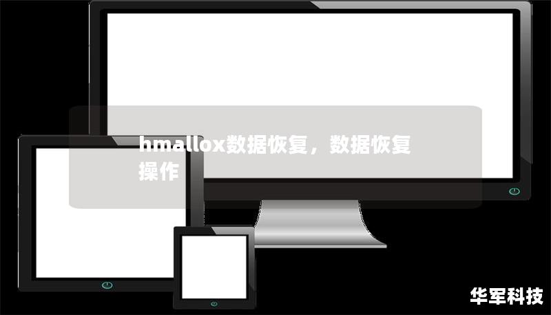 hmallox數(shù)據(jù)恢復(fù)，數(shù)據(jù)恢復(fù)操作