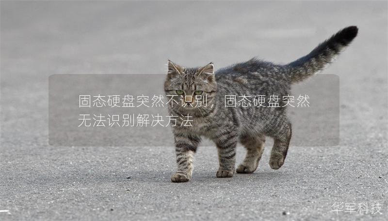 固態(tài)硬盤突然不識別，固態(tài)硬盤突然無法識別解決方法