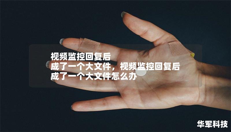 視頻監(jiān)控回復(fù)后 成了一個(gè)大文件，視頻監(jiān)控回復(fù)后 成了一個(gè)大文件怎么辦