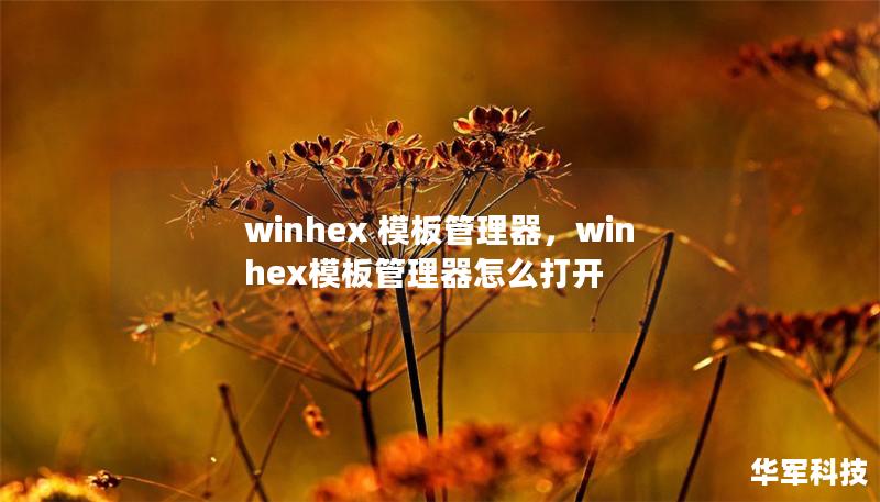 winhex 模板管理器，winhex模板管理器怎么打開