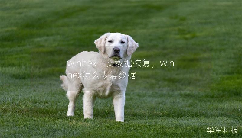 winhex中文數(shù)據(jù)恢復(fù)，winhex怎么恢復(fù)數(shù)據(jù)