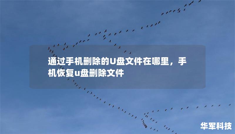 通過手機(jī)刪除的U盤文件在哪里，手機(jī)恢復(fù)u盤刪除文件