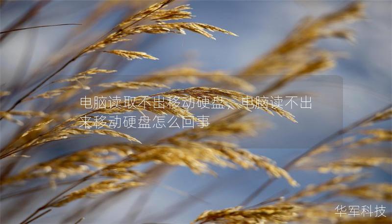 電腦讀取不出移動(dòng)硬盤，電腦讀不出來移動(dòng)硬盤怎么回事