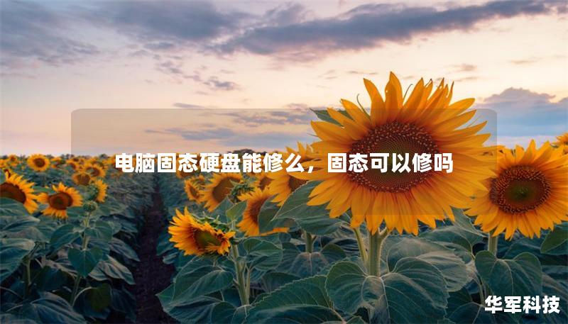 電腦固態(tài)硬盤能修么，固態(tài)可以修嗎