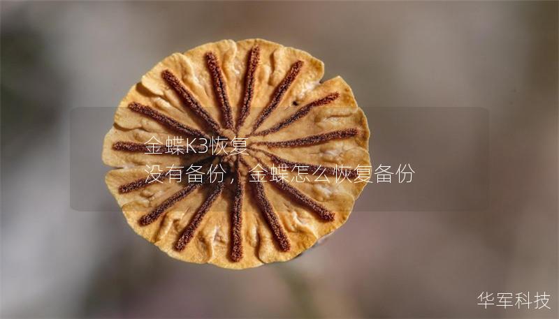 金蝶K3恢復(fù) 沒有備份，金蝶怎么恢復(fù)備份