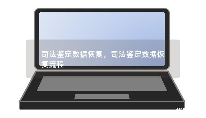 司法鑒定數(shù)據(jù)恢復，司法鑒定數(shù)據(jù)恢復流程
