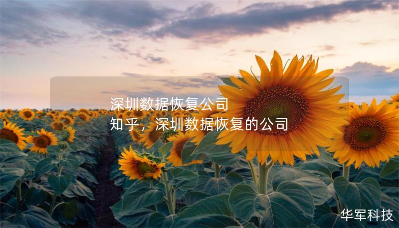 深圳數(shù)據(jù)恢復(fù)公司 知乎，深圳數(shù)據(jù)恢復(fù)的公司