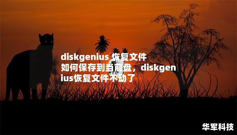 diskgenius 恢復(fù)文件 如何保存到當前盤，diskgenius恢復(fù)文件不動了