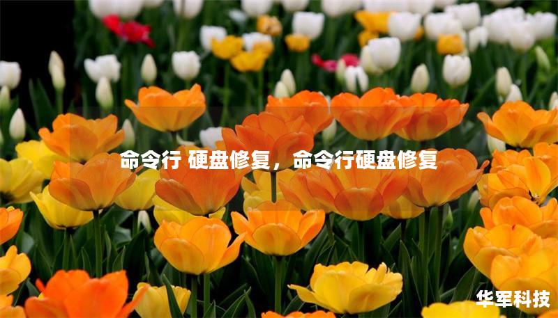 命令行 硬盤修復(fù)，命令行硬盤修復(fù)