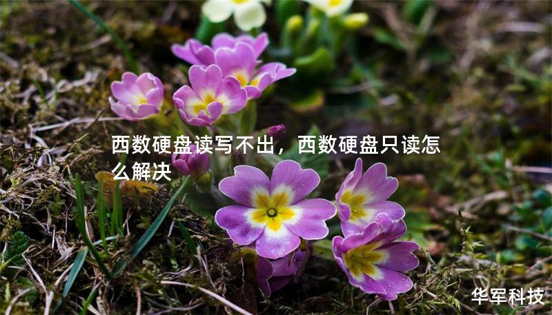 西數(shù)硬盤讀寫不出，西數(shù)硬盤只讀怎么解決