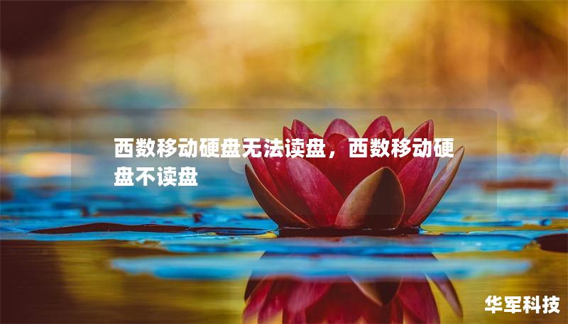 西數(shù)移動(dòng)硬盤無法讀盤，西數(shù)移動(dòng)硬盤不讀盤