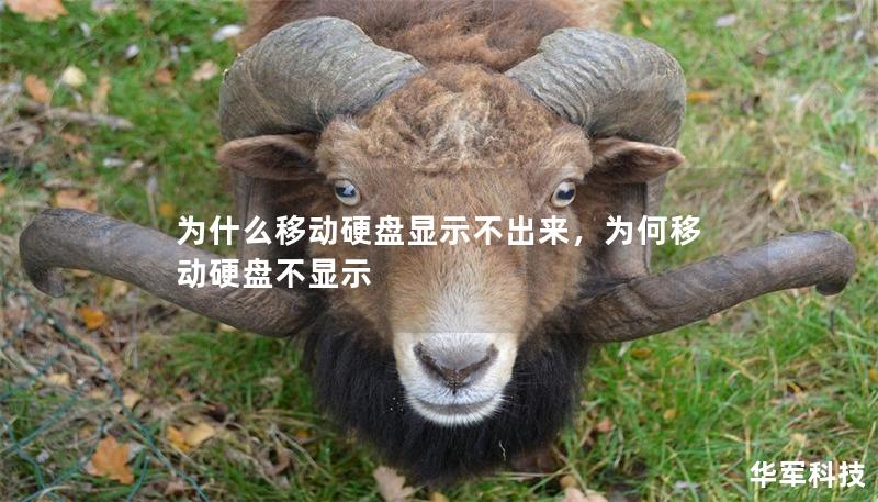為什么移動硬盤顯示不出來，為何移動硬盤不顯示