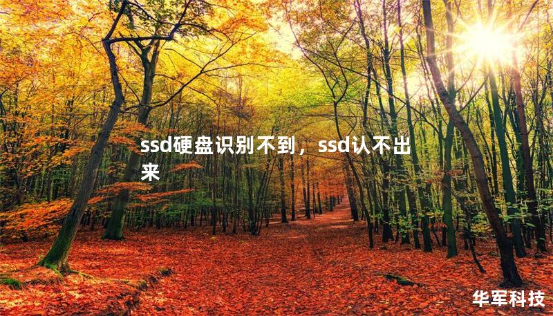 ssd硬盤識別不到，ssd認不出來