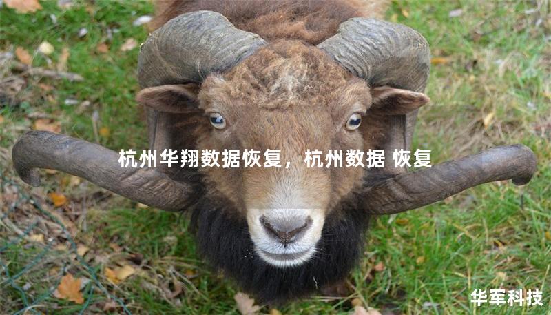 杭州華翔數(shù)據(jù)恢復(fù)，杭州數(shù)據(jù) 恢復(fù)