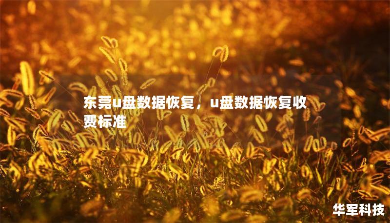 東莞u盤(pán)數(shù)據(jù)恢復(fù)，u盤(pán)數(shù)據(jù)恢復(fù)收費(fèi)標(biāo)準(zhǔn)