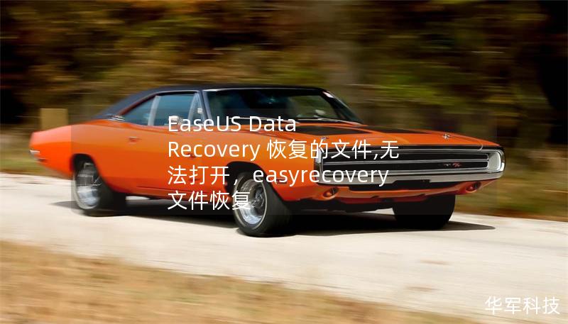 EaseUS Data Recovery 恢復(fù)的文件,無法打開，easyrecovery文件恢復(fù)