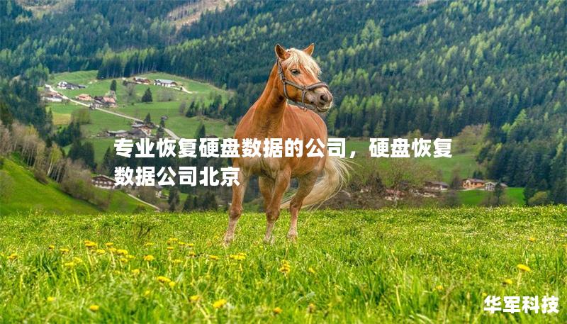 專業(yè)恢復(fù)硬盤數(shù)據(jù)的公司，硬盤恢復(fù)數(shù)據(jù)公司北京