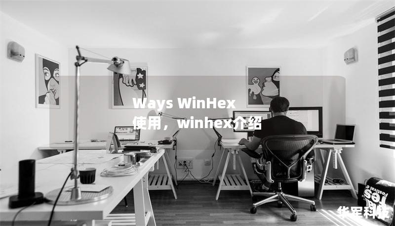 Ways WinHex 使用，winhex介紹
