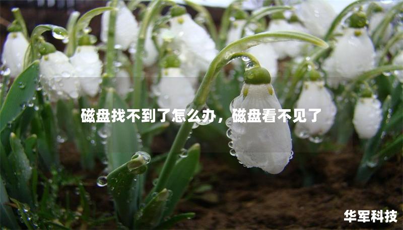 磁盤找不到了怎么辦，磁盤看不見(jiàn)了
