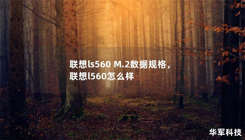 聯(lián)想ls560 M.2數(shù)據(jù)規(guī)格，聯(lián)想l560怎么樣
