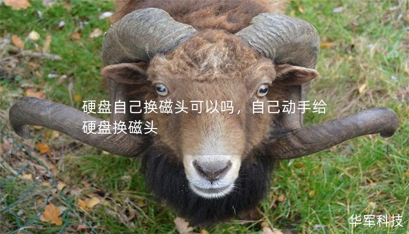 硬盤自己換磁頭可以嗎，自己動(dòng)手給硬盤換磁頭