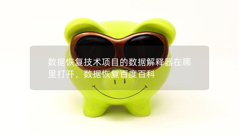 數(shù)據(jù)恢復(fù)技術(shù)項(xiàng)目的數(shù)據(jù)解釋器在哪里打開，數(shù)據(jù)恢復(fù)百度百科