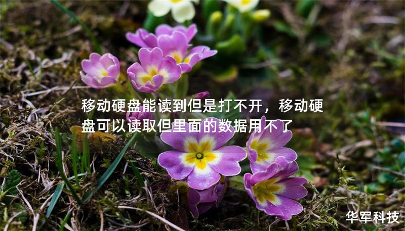 移動硬盤能讀到但是打不開，移動硬盤可以讀取但里面的數(shù)據(jù)用不了