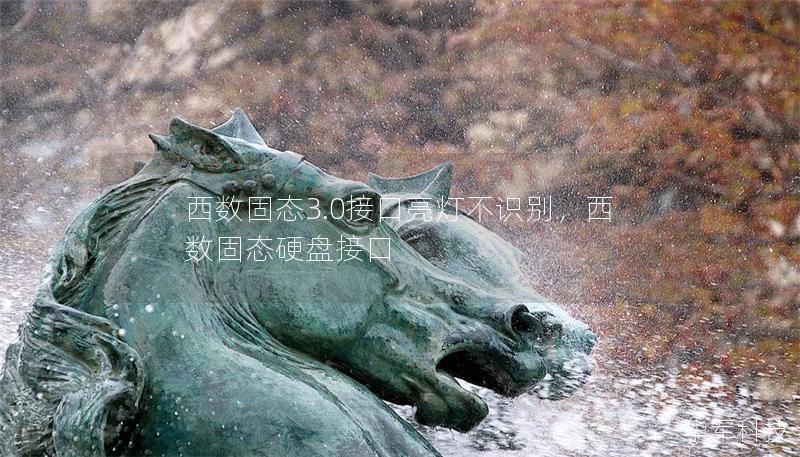 西數(shù)固態(tài)3.0接口亮燈不識別，西數(shù)固態(tài)硬盤接口