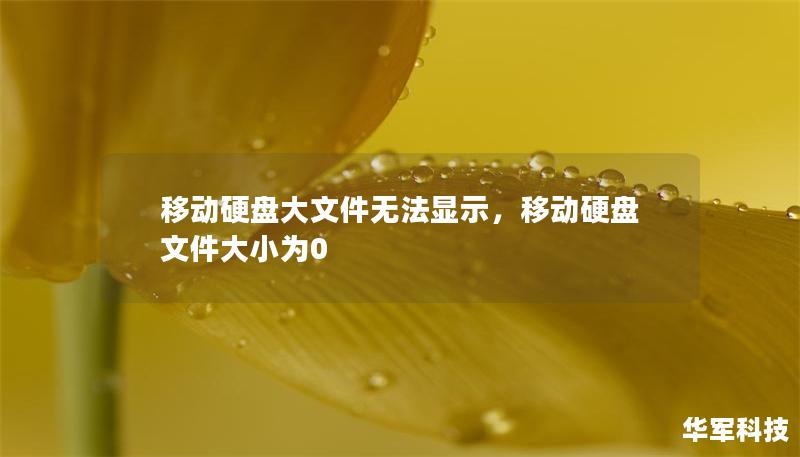 移動硬盤大文件無法顯示，移動硬盤 文件大小為0