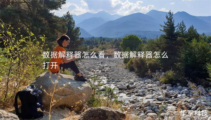數(shù)據(jù)解釋器怎么看，數(shù)據(jù)解釋器怎么打開(kāi)