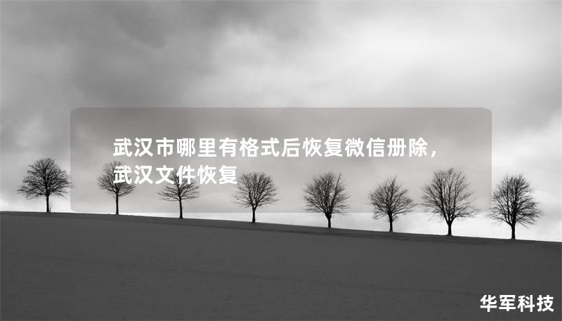 武漢市哪里有格式后恢復(fù)微信冊除，武漢文件恢復(fù)