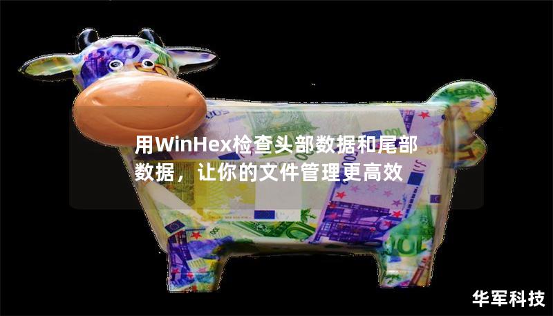 用WinHex檢查頭部數(shù)據(jù)和尾部數(shù)據(jù)，讓你的文件管理更高效