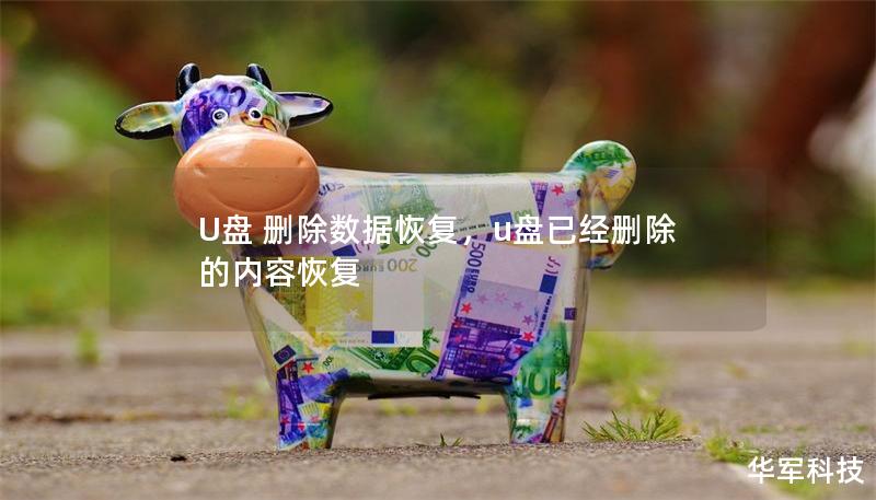 U盤 刪除數(shù)據(jù)恢復(fù)，u盤已經(jīng)刪除的內(nèi)容恢復(fù)