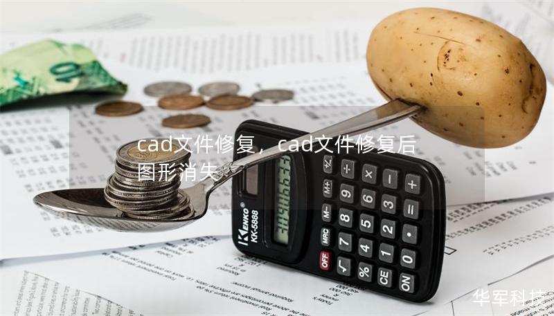 cad文件修復(fù)，cad文件修復(fù)后圖形消失