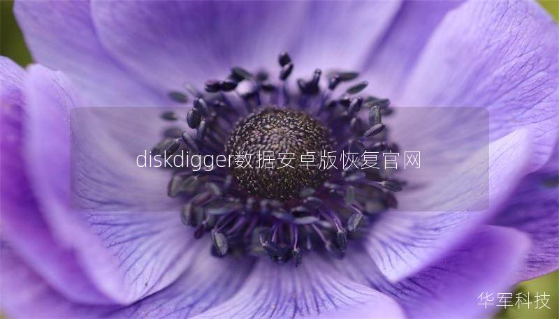 diskdigger數(shù)據(jù)安卓版恢復(fù)官網(wǎng)